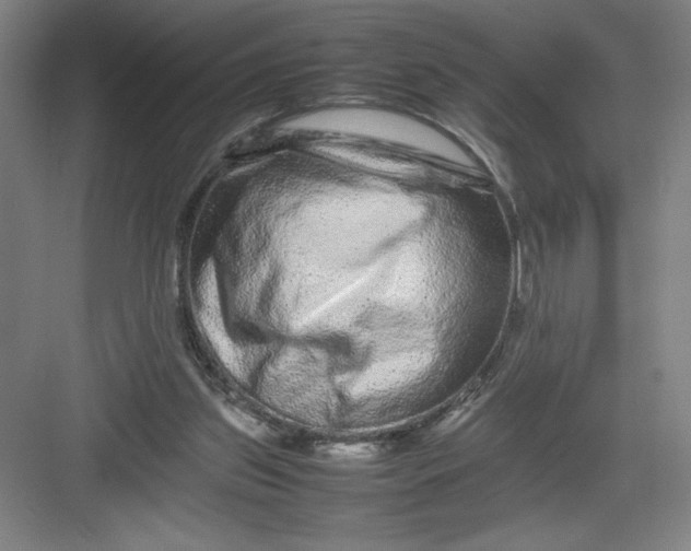 X0000082940157200702152223