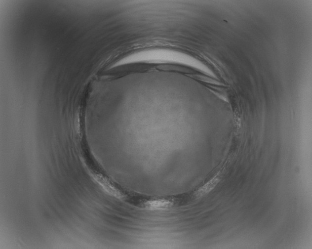 X0000082940158200702152223