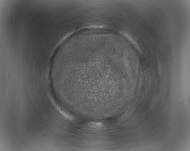 X0000082940159200702152223