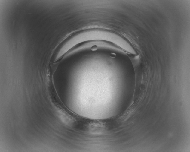 X0000082940160200702152223