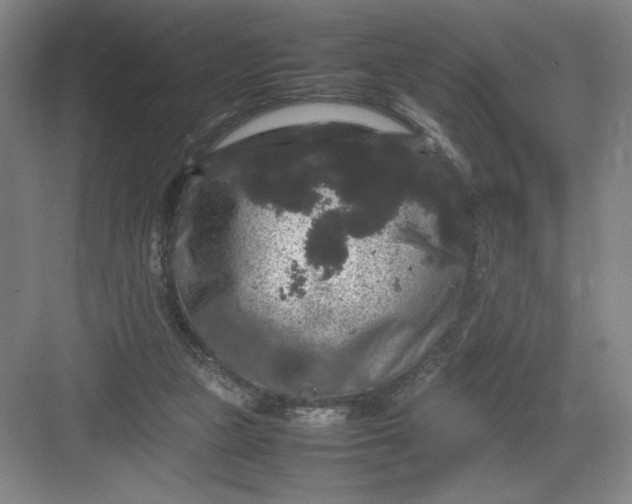 X0000082940161200702152223