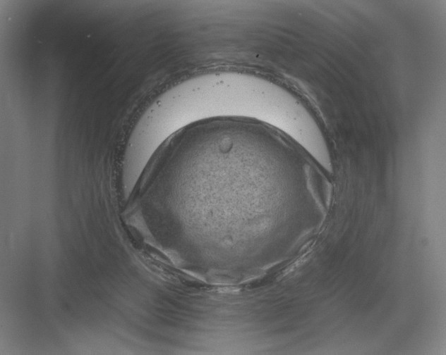 X0000082940162200702152223