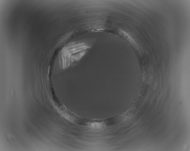 X0000082940163200702152223