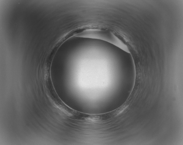 X0000082940164200702152223