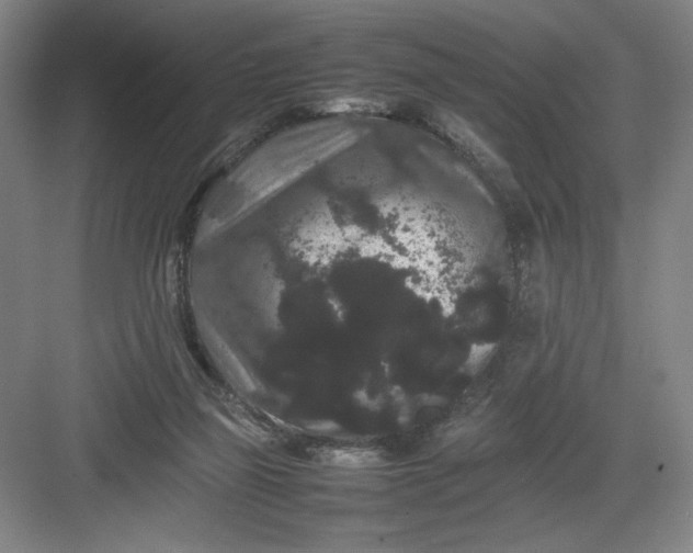 X0000082940165200702152223