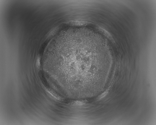 X0000082940166200702152223