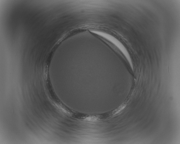 X0000082940168200702152223