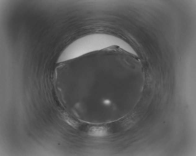 X0000082940169200702152223