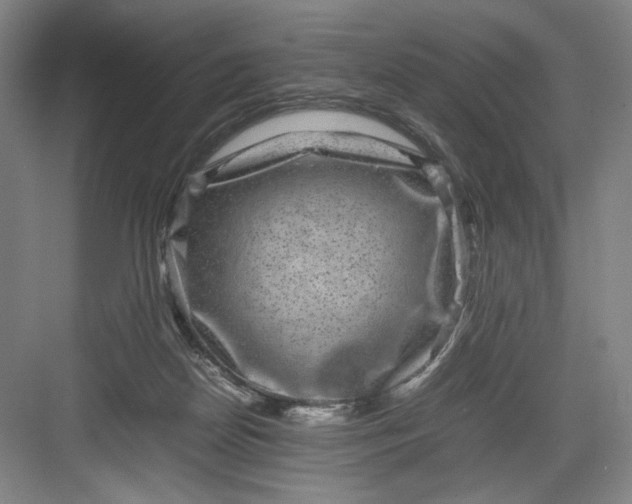 X0000082940170200702152223