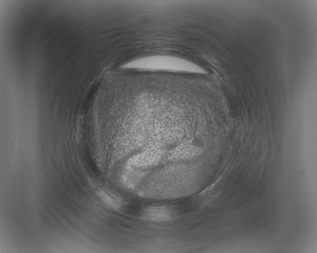 X0000082940171200702152223