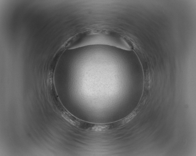 X0000082940172200702152223