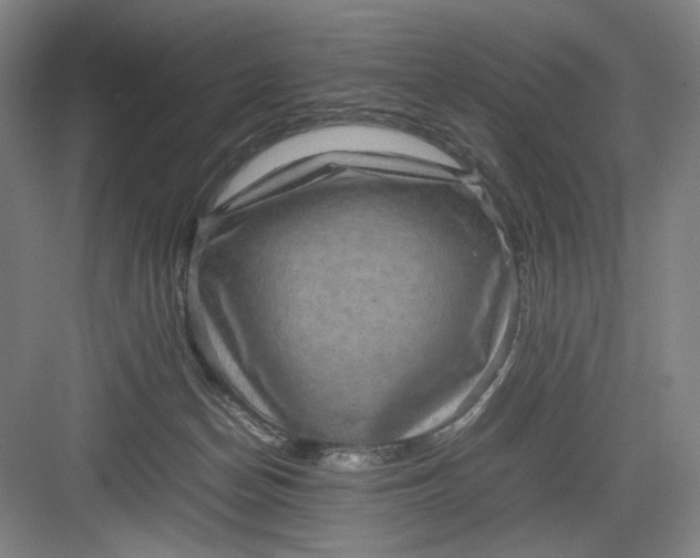 X0000082940174200702152223