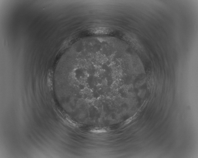 X0000082940175200702152223