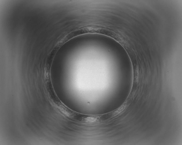 X0000082940176200702152223