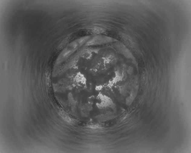 X0000082940177200702152223