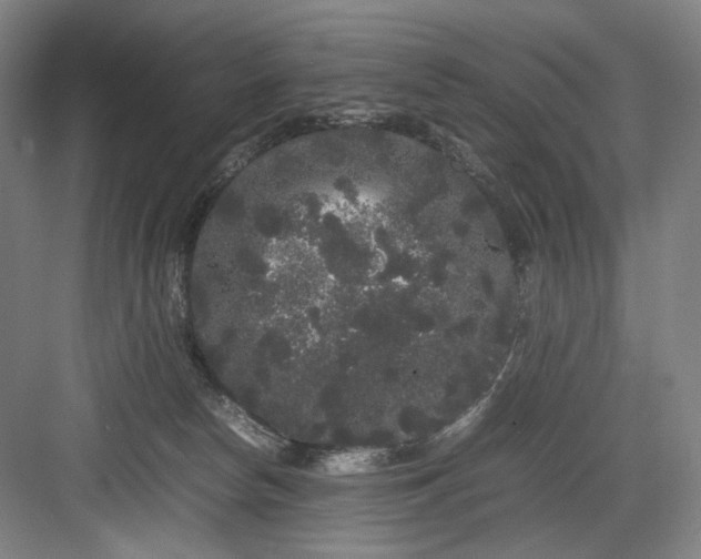 X0000082940178200702152223