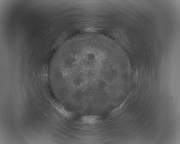 X0000082940179200702152223