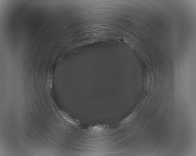 X0000082940180200702152223