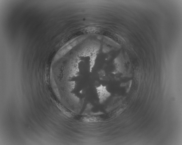 X0000082940181200702152223