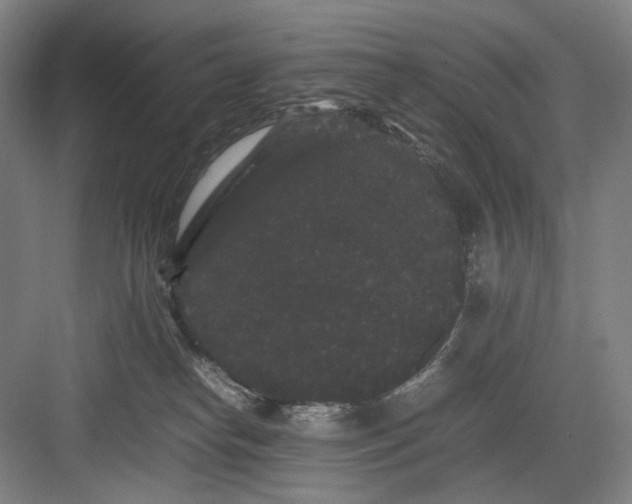 X0000082940182200702152223