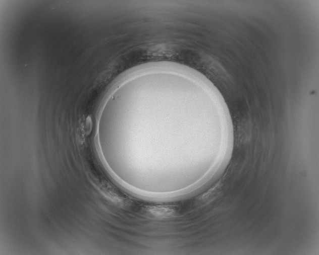 X0000082940183200702152223