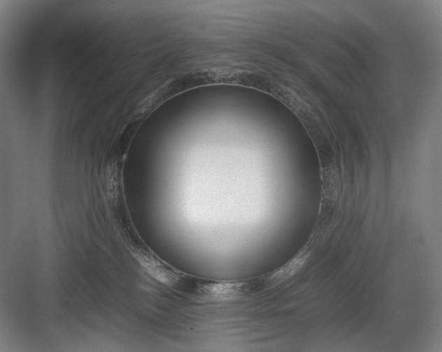 X0000082940184200702152223