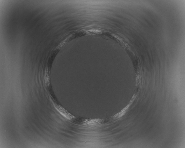 X0000082940186200702152223