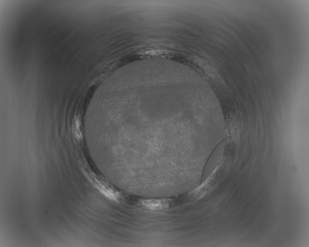 X0000082940187200702152223