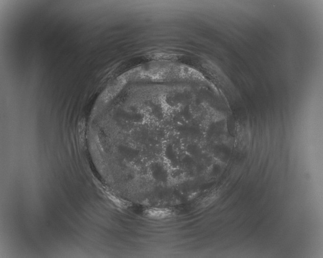 X0000082940189200702152224