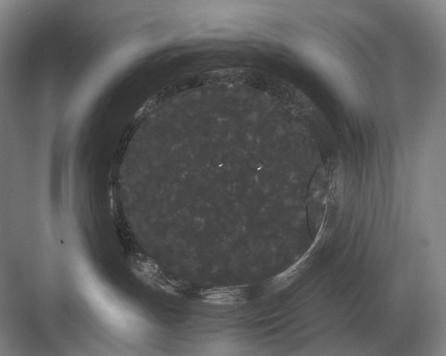 X0000082940191200702152224