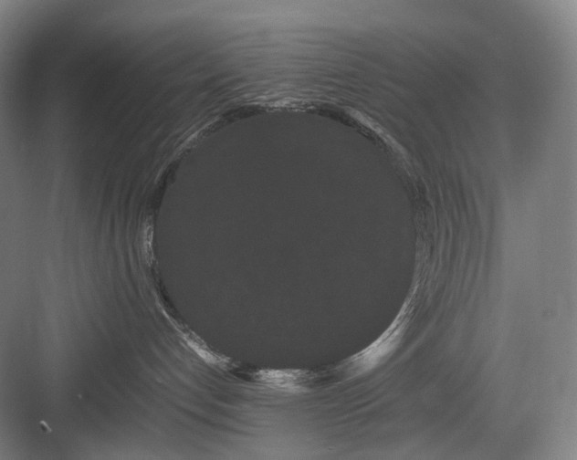 X0000082940192200702152224