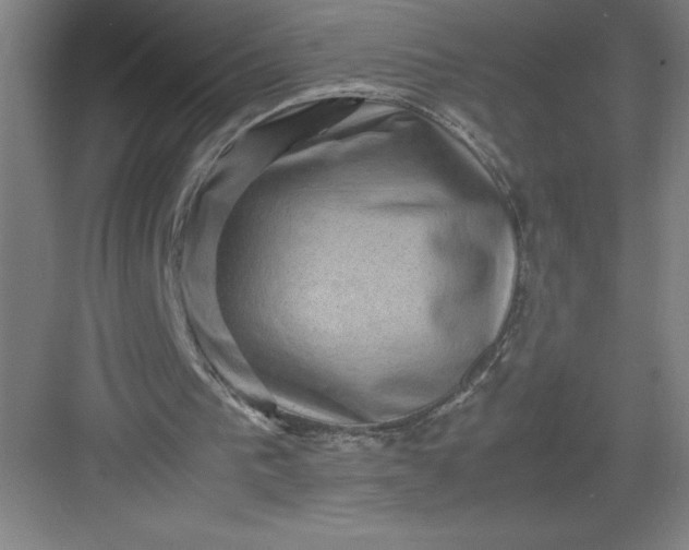 X0000082940193200702152223