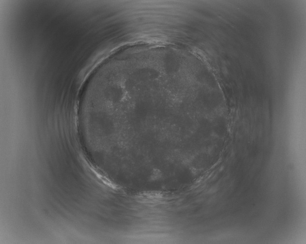 X0000082940194200702152223