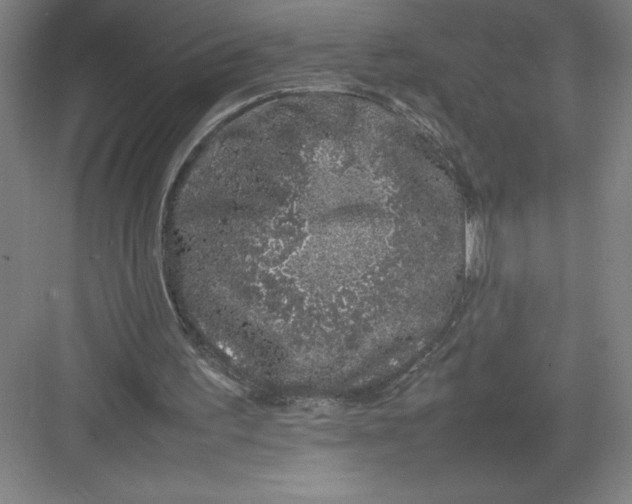 X0000082940195200702152223