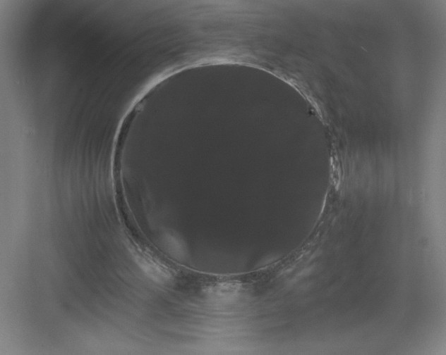 X0000082940196200702152223