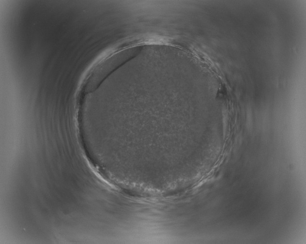 X0000082940197200702152223