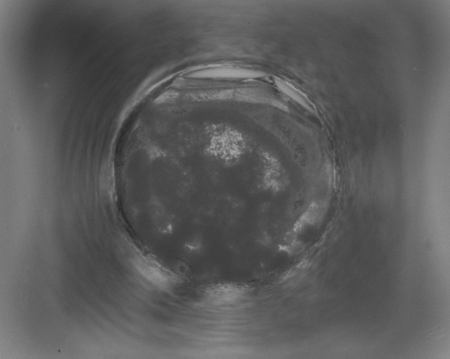 X0000082940198200702152223