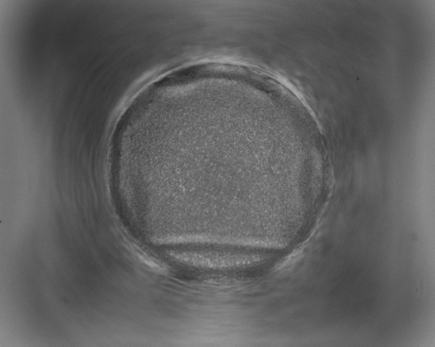 X0000082940199200702152223