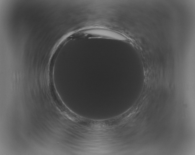 X0000082940200200702152223