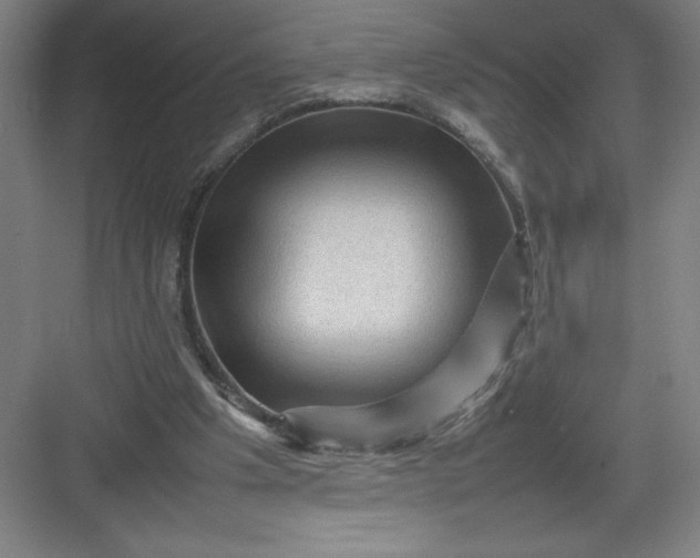 X0000082940201200702152223