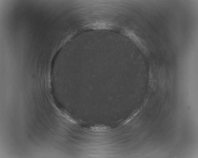 X0000082940202200702152223