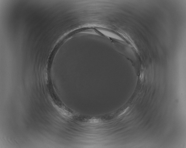 X0000082940204200702152223