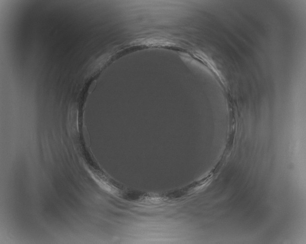 X0000082940205200702152223