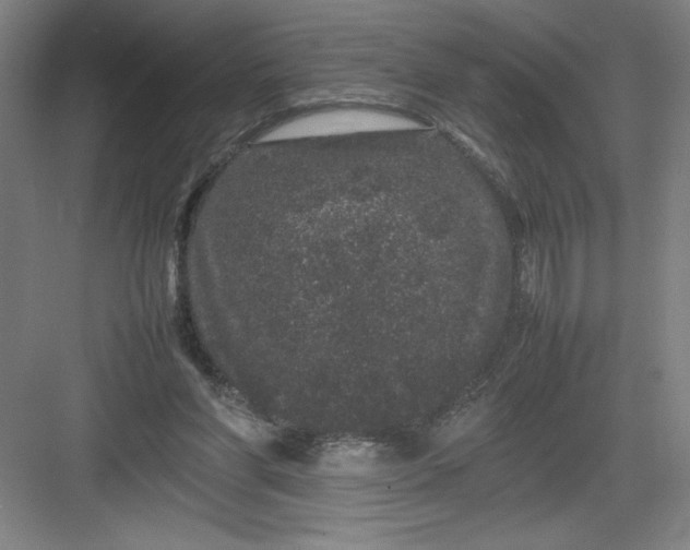 X0000082940206200702152223