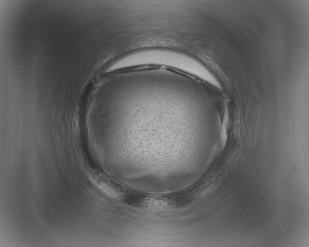 X0000082940207200702152223