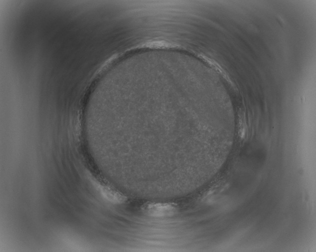 X0000082940208200702152223