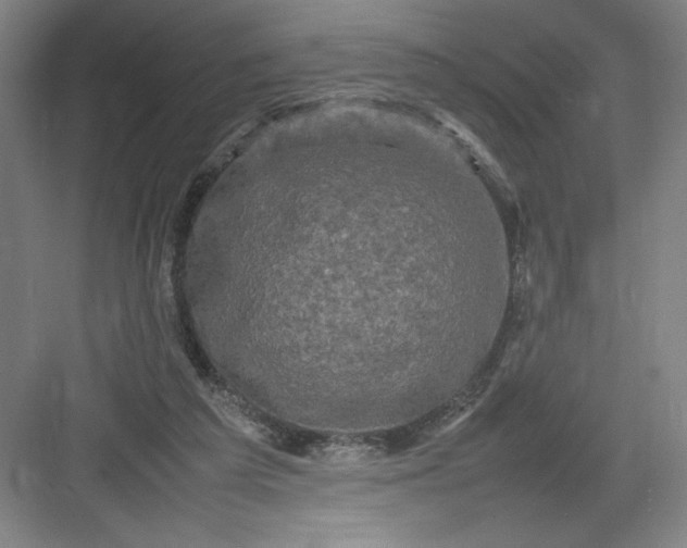 X0000082940209200702152222