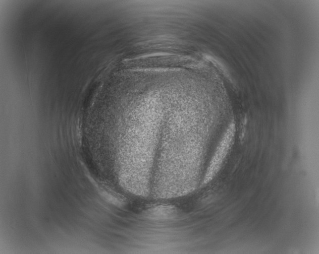 X0000082940210200702152222