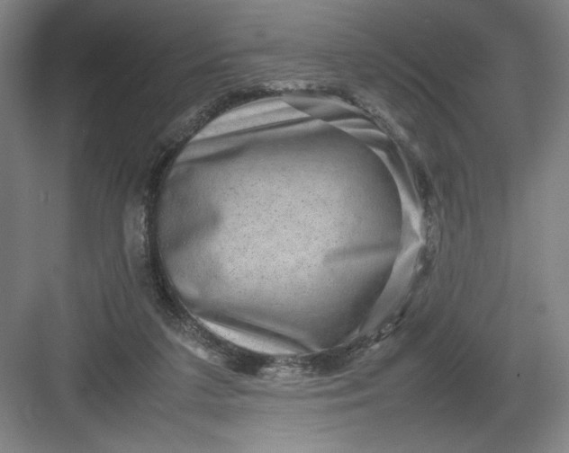 X0000082940211200702152222