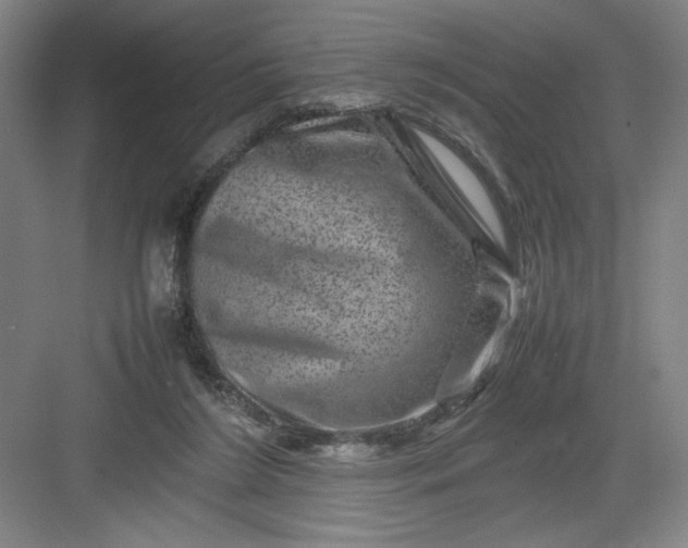 X0000082940212200702152222